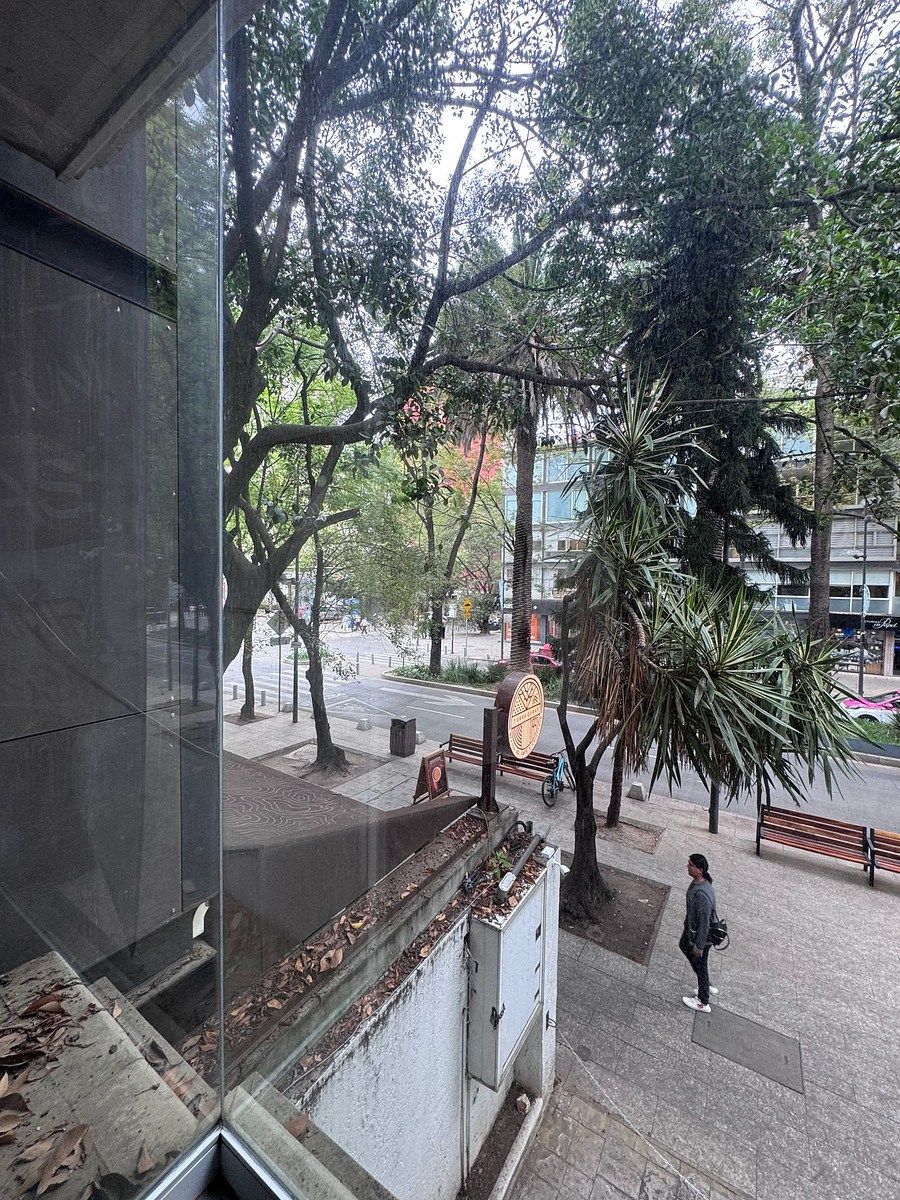 19 de 25