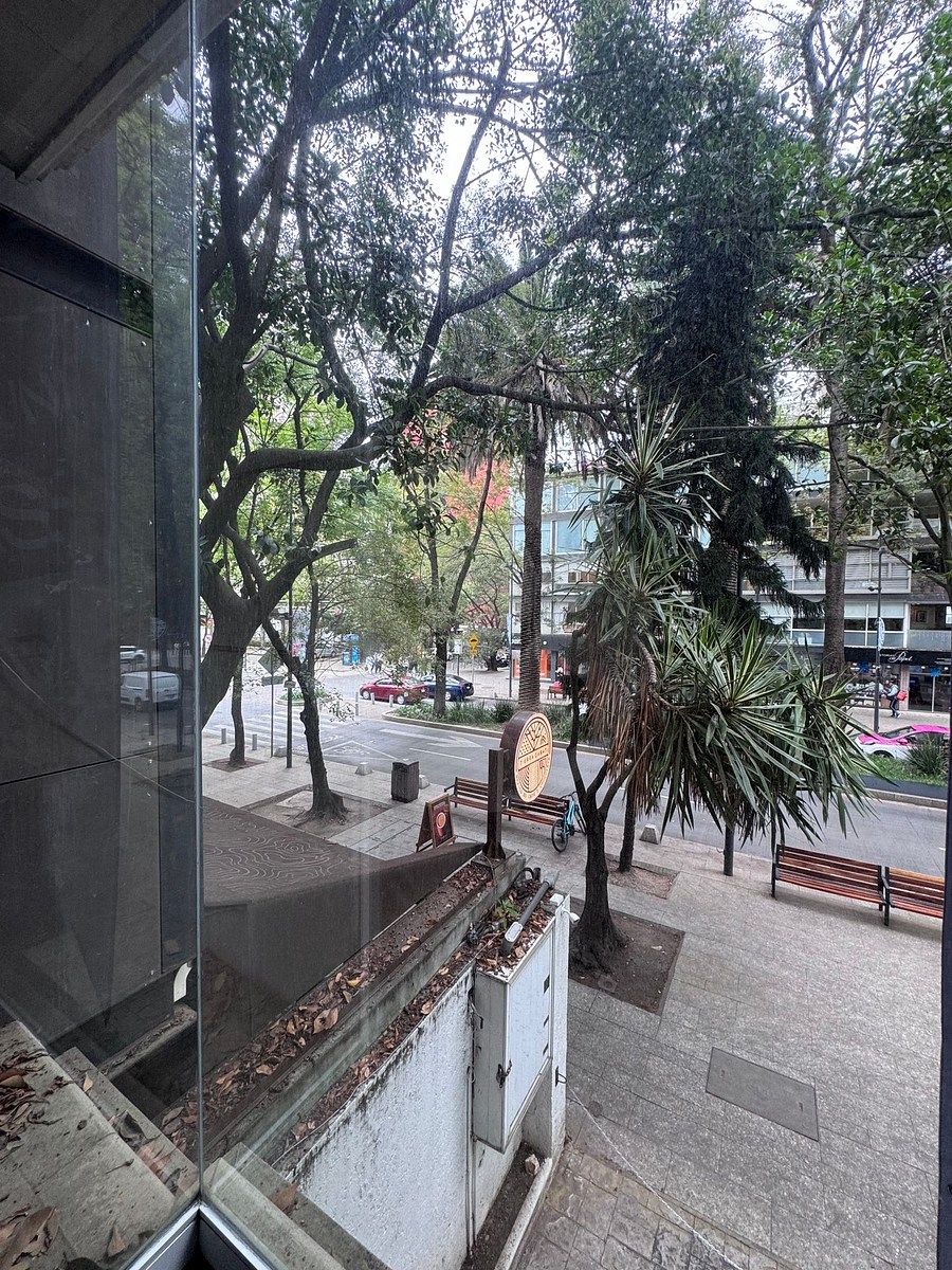 25 de 25