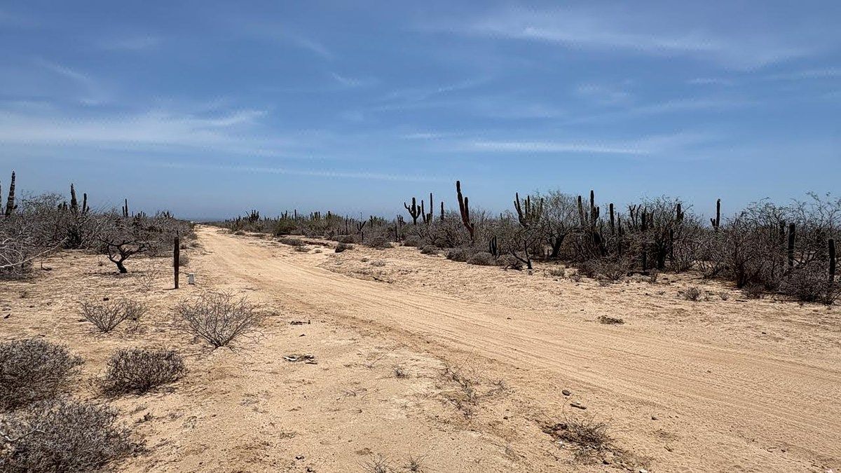 Terreno camino ocho