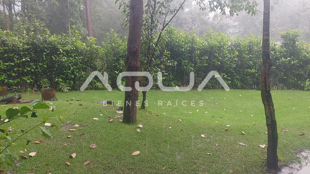 11 of 20: JARDIN EN LAS LLUVIAS