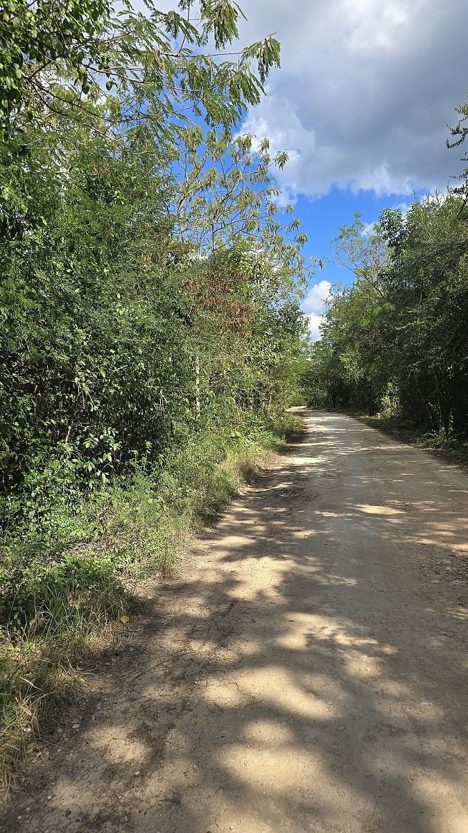 3 de 6: Otra vista del Camino de acceso