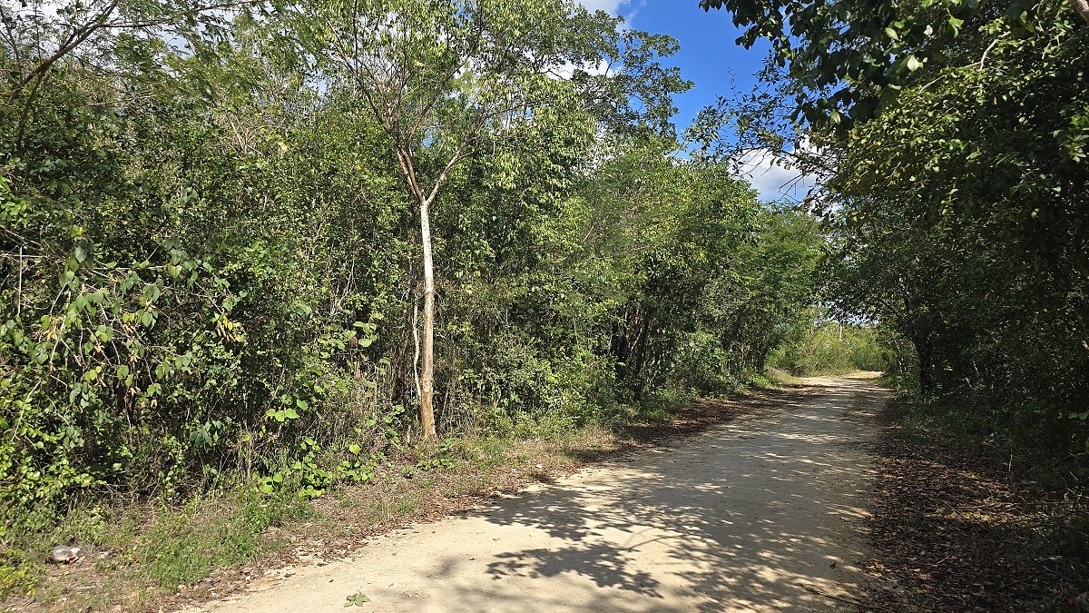 1 de 7: Camino de acceso frente al Lote