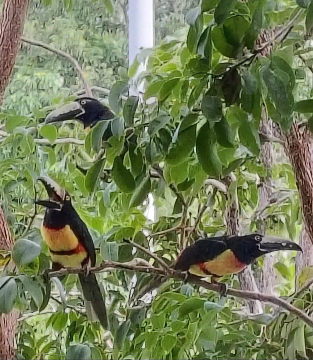 47 de 47: Vecinos incluídos