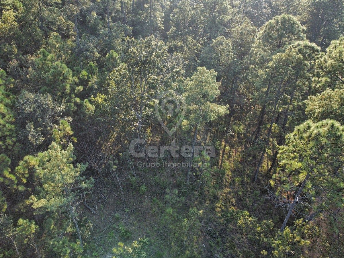 Terreno en Venta Tapalpa Jalisco - foto 3