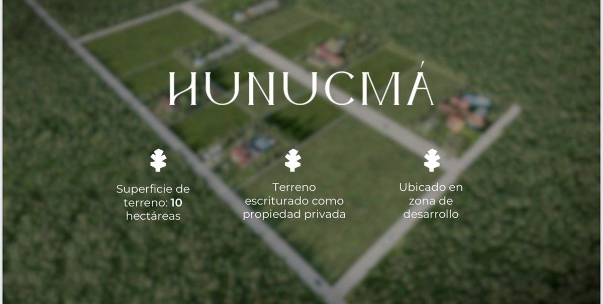 Terreno en Venta de 10 Hectáreas en Hunucmá Yucatán - foto 3