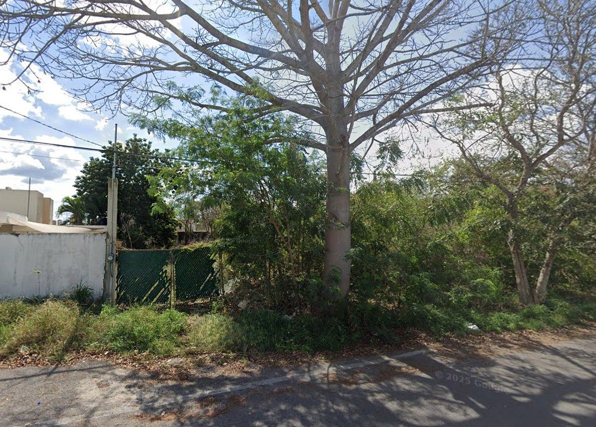 AMPLIO TERRENO EN ZONA RESIDENCIAL, foto 1 de 5