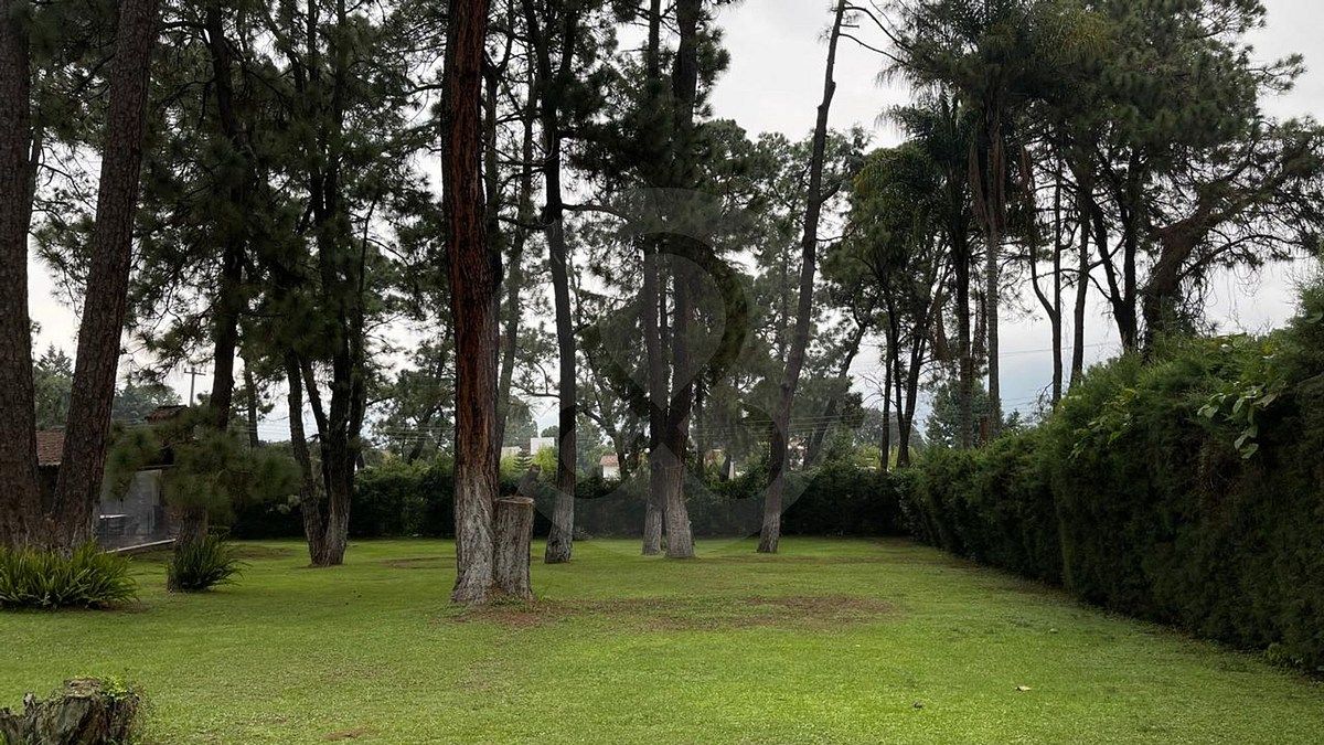 2 de 9