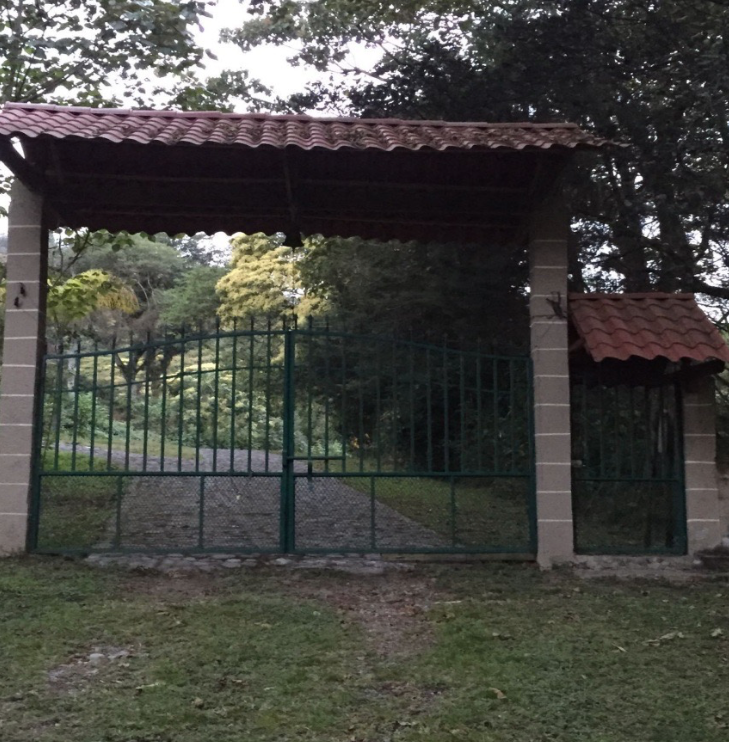 4 de 6