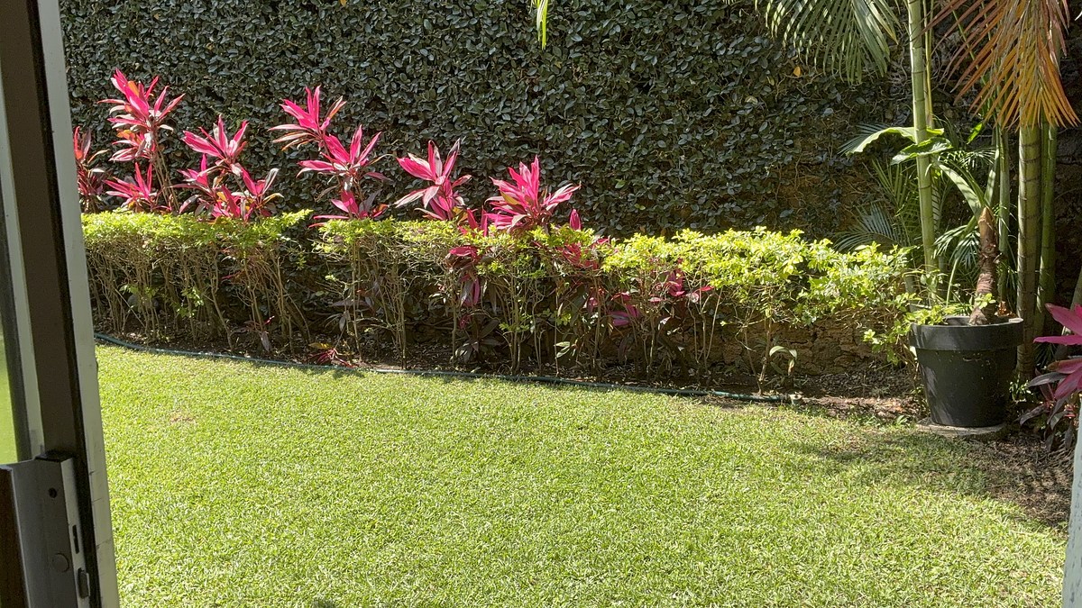 5 de 21: Jardín privado