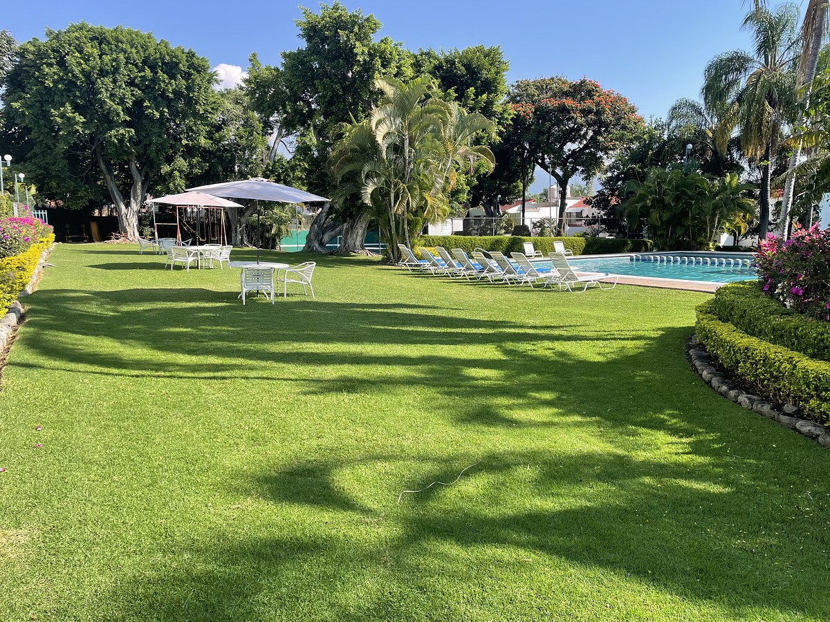 21 de 21: Agradables jardines