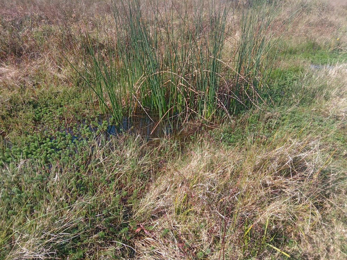 10 de 11: 0jo de agua