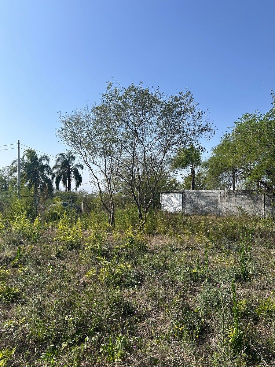 Vista hacia uno de los muros del lado del terreno., foto 6 de 16
