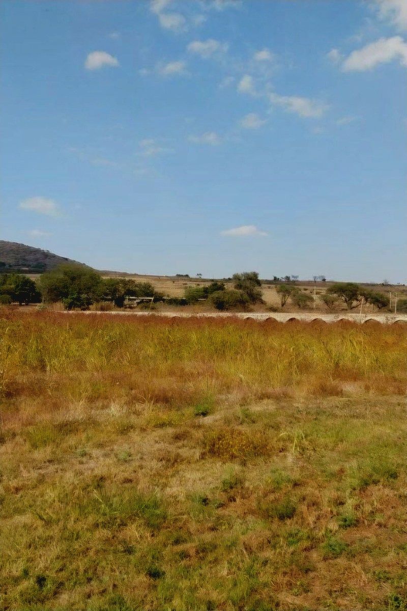 1 de 7: Terreno semi plano