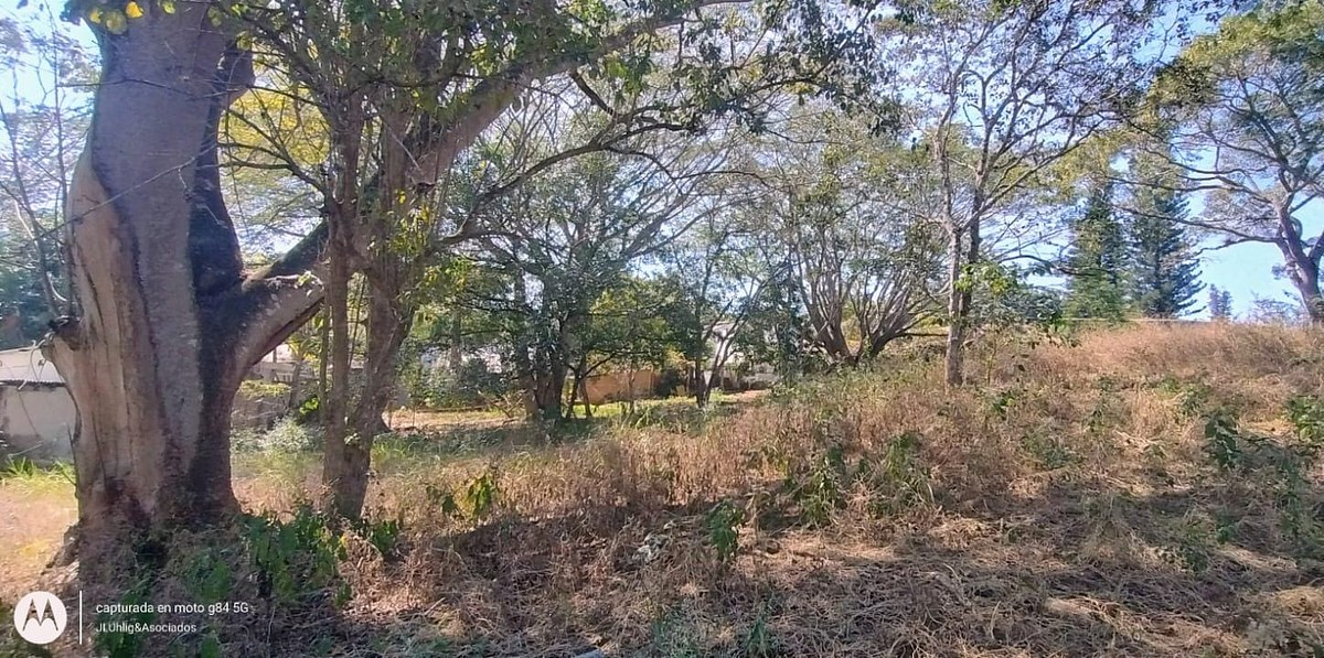 6 de 7: AREA ARBOLADA CON SERVICIOS