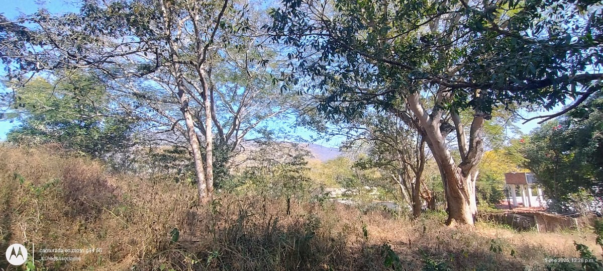 7 de 7: AREA ARBOLADA CON SERVICIOS