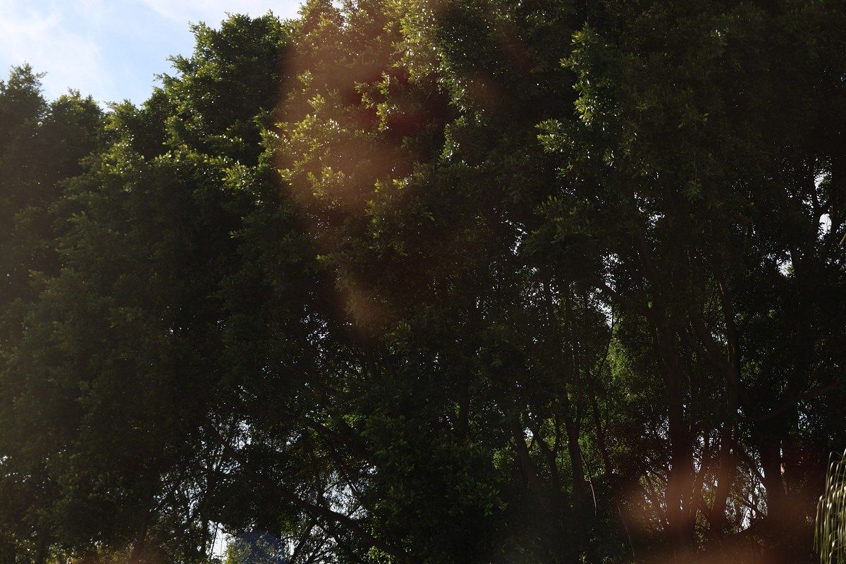 12 de 14: Vista desde Recamara