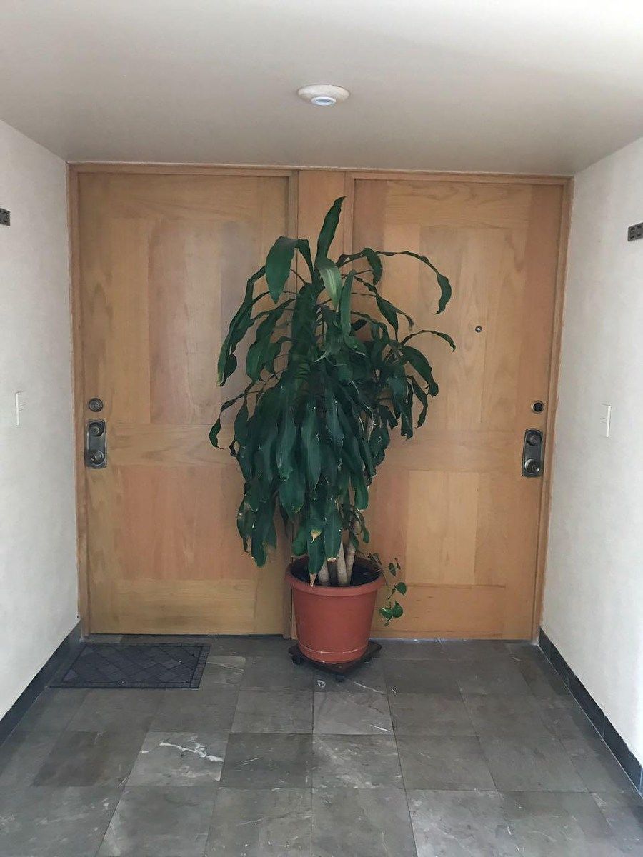 15 de 16: ENTRADA DEPA