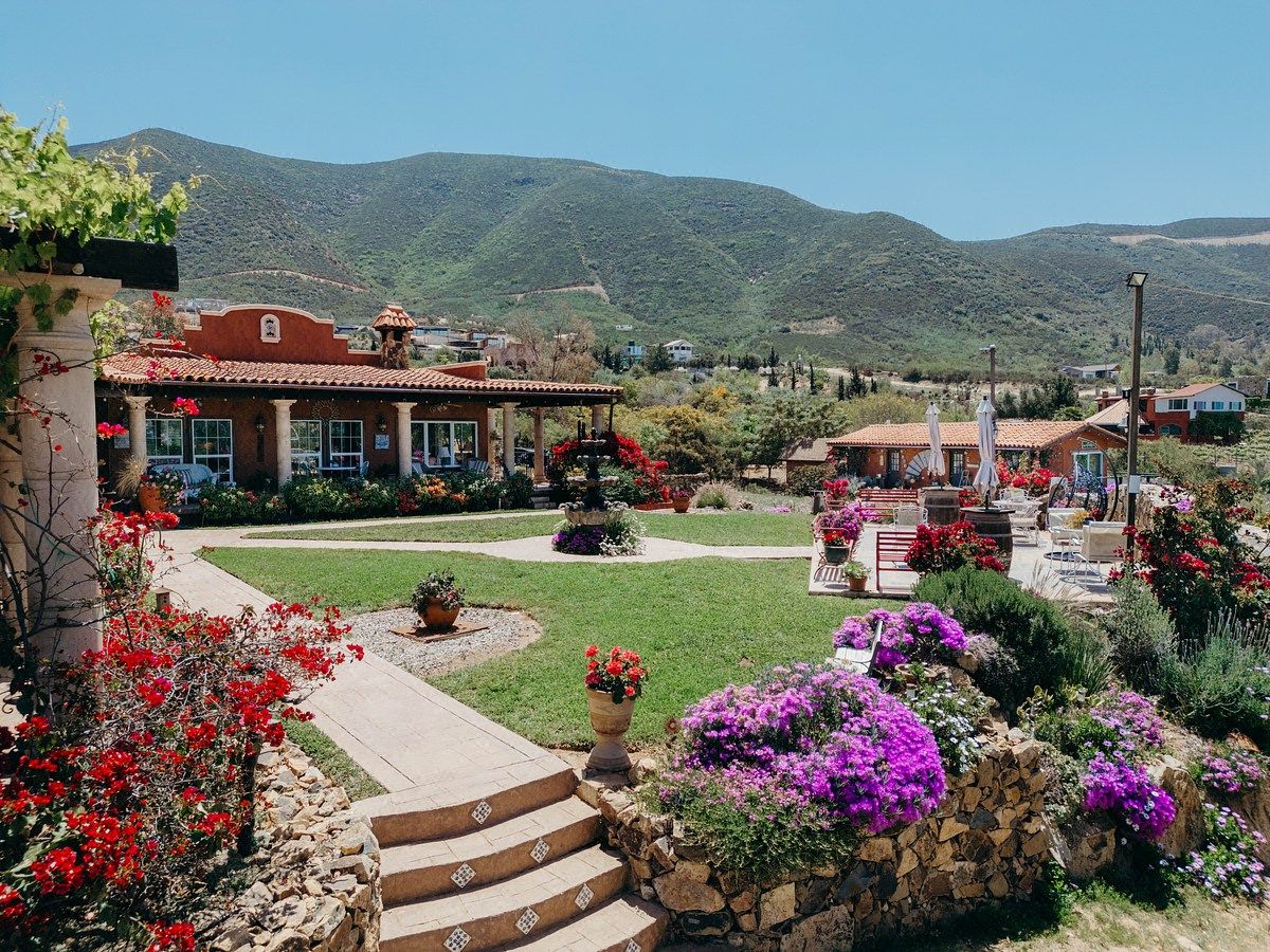 Casa de lujo/Hotel boutique con viñedo privado en Venta