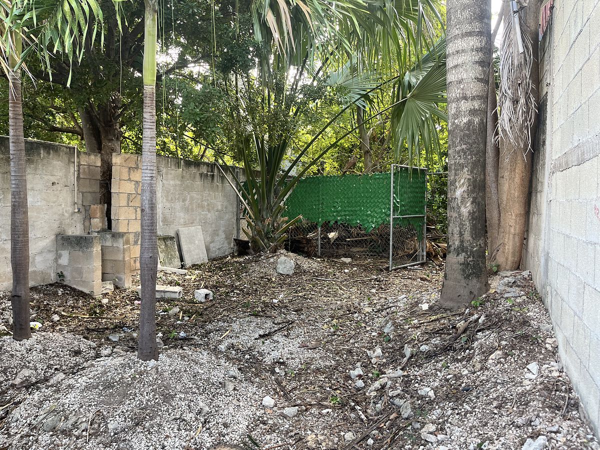 16 de 17: Patio Terreno 2 (Vista al fondo)