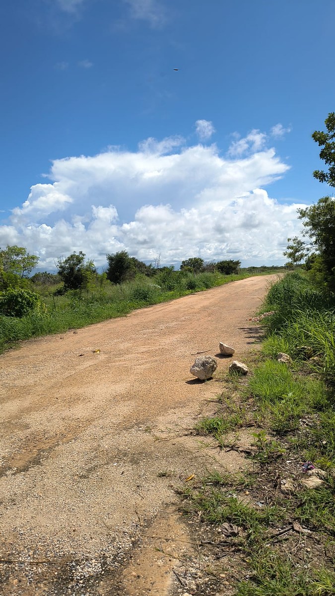 4 de 11: ACCESO AL TERRENO
