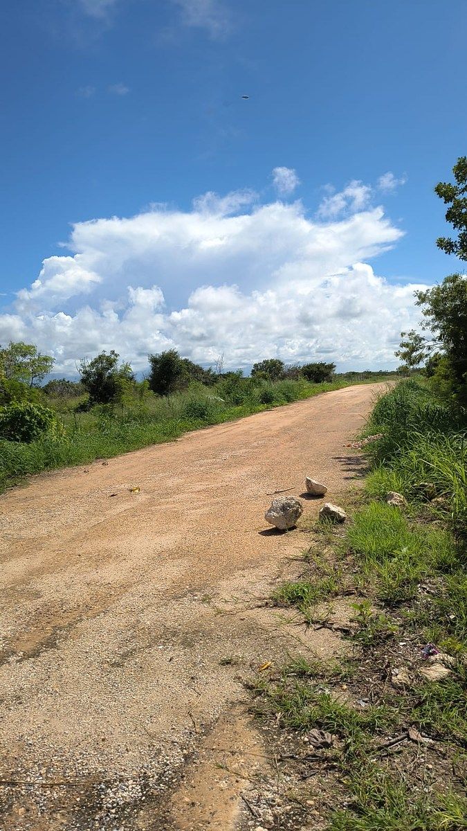 5 de 12: ACCESO AL TERRENO