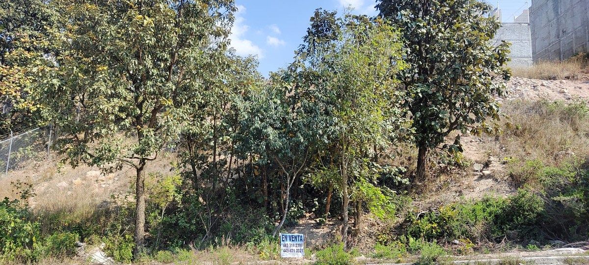 Terreno en Venta Montaña Monarca, Zona Altozano Morelia