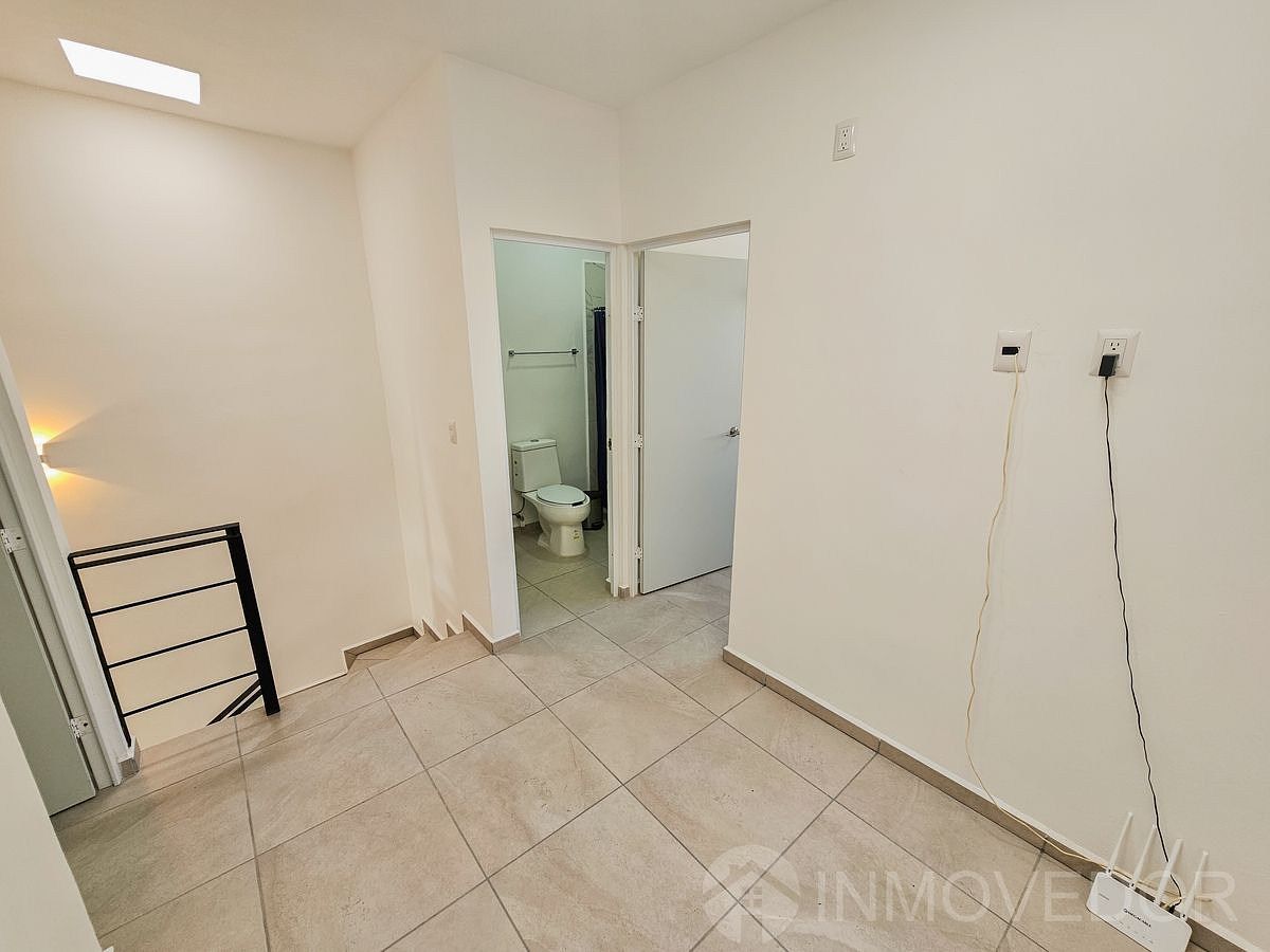 14 of 27: Planta alta