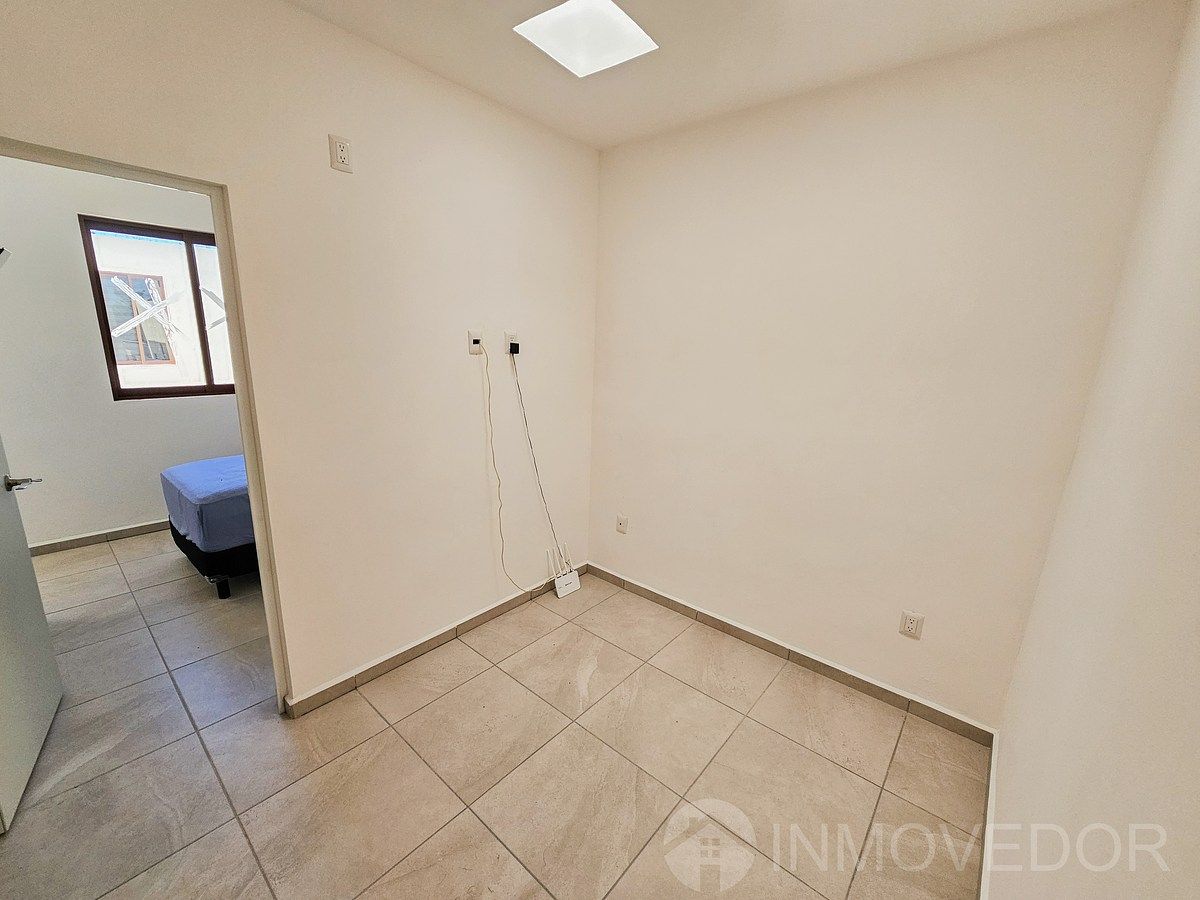 15 of 27: Planta alta