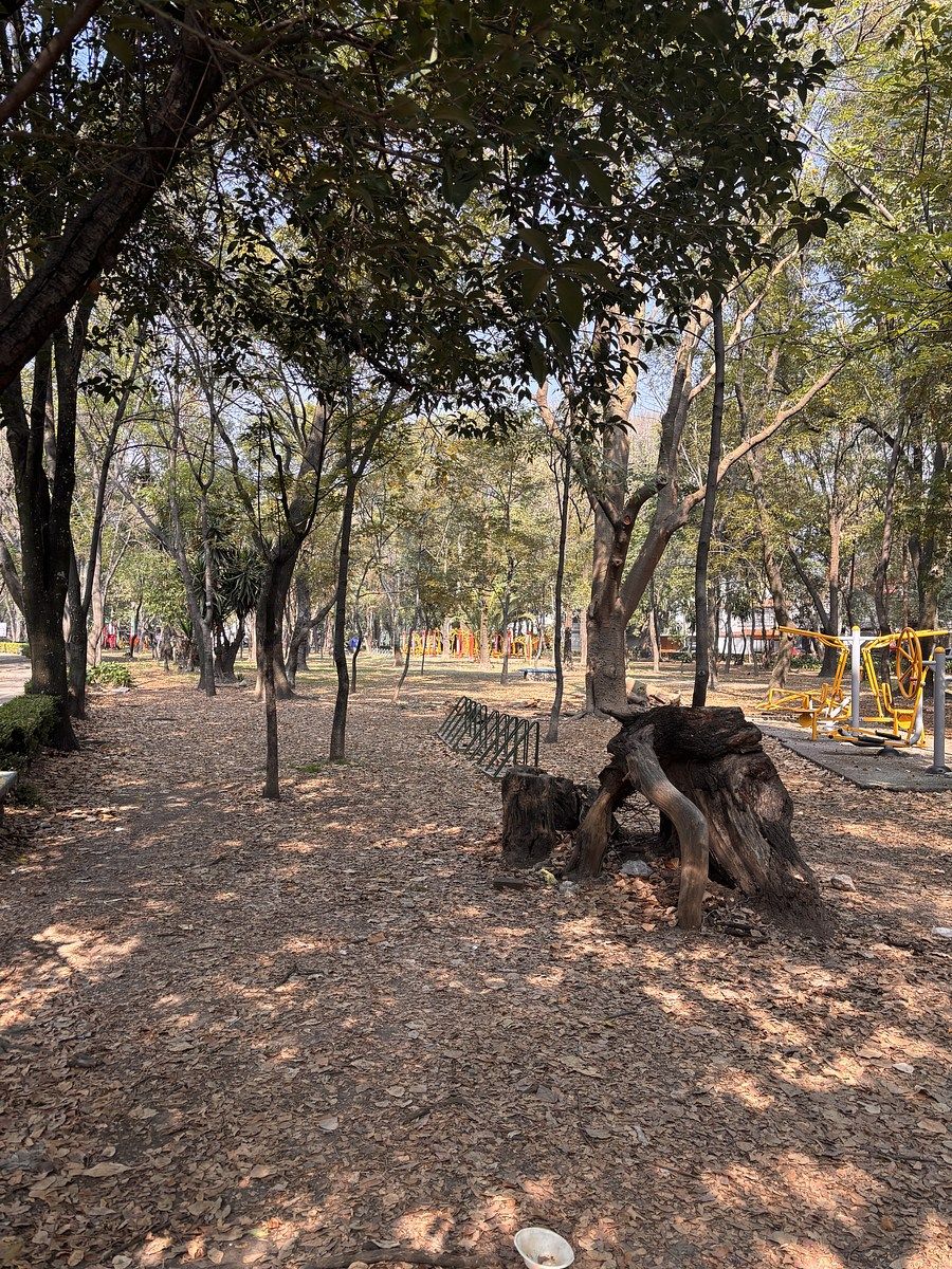 12 of 12: Parque a 10 m