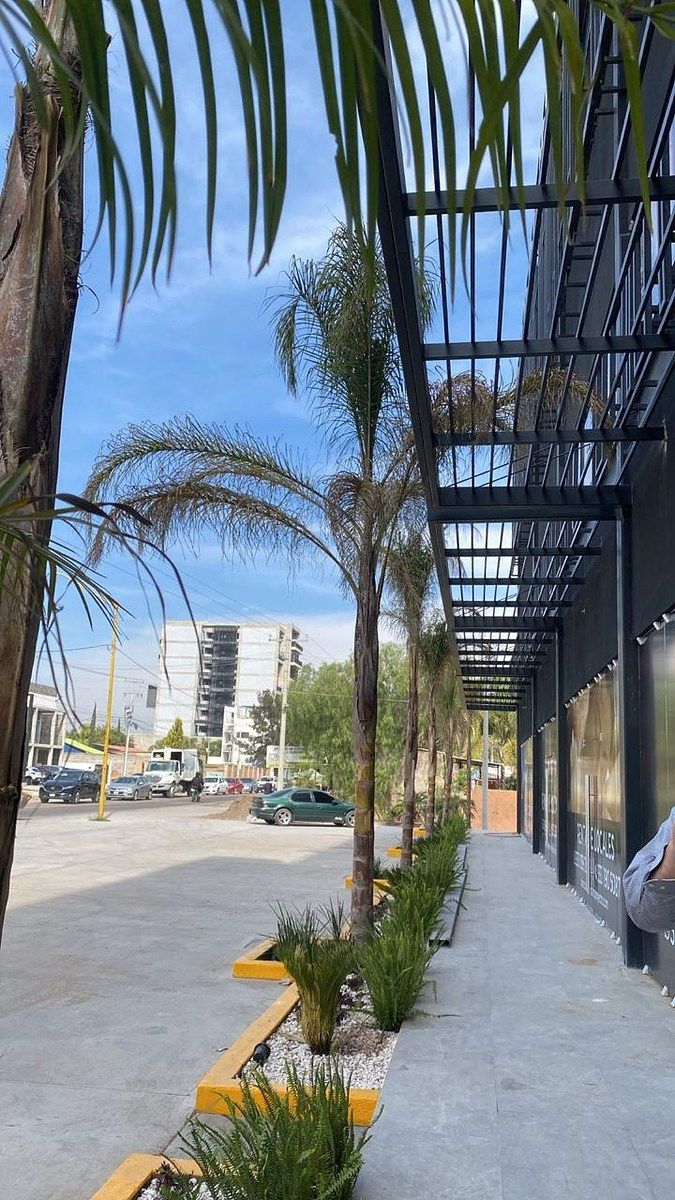 7 de 8: Locales Exterior Av. Eugenio Garza Sada