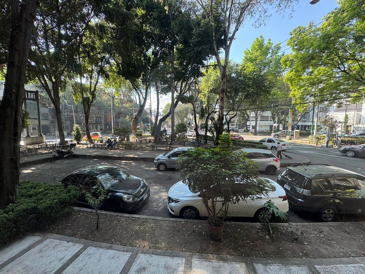 18 de 18: Departamento en Renta en Del Valle Rayo Vende ®