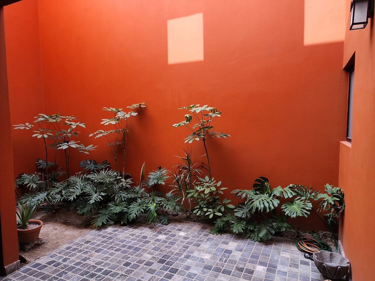 House in Colinas del Parque, San Luis Potosí, photo 8 of 19