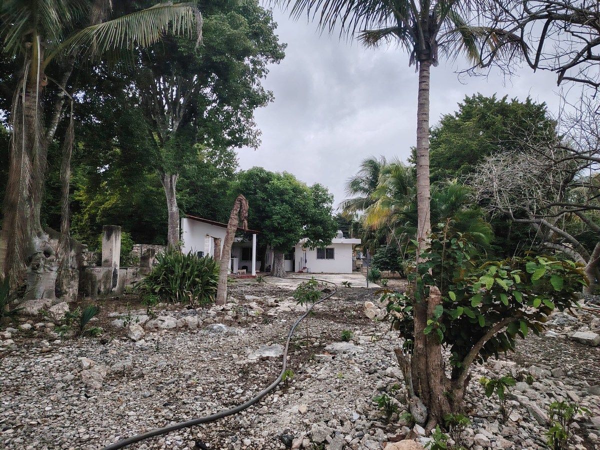 21 de 29: FOTO DESDE EL FONDO DEL PATIO A LA CASA