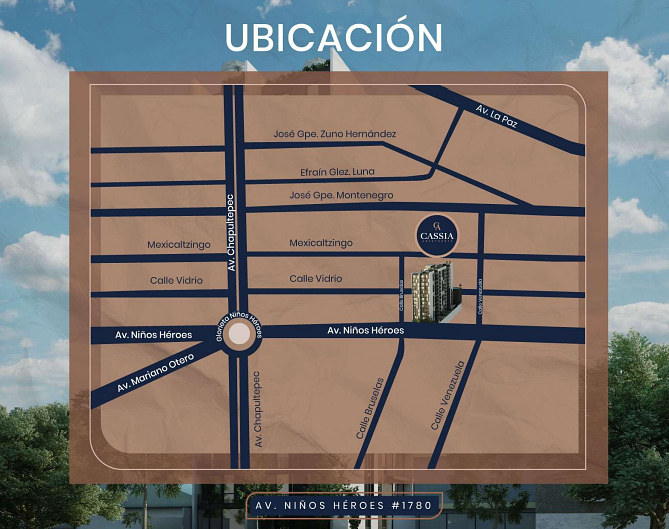 6 de 8