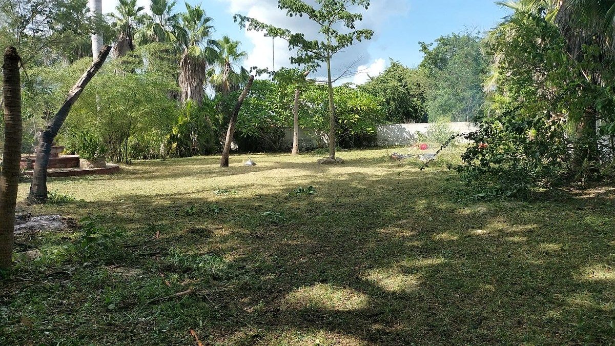 Terreno en Xcuyun en Venta