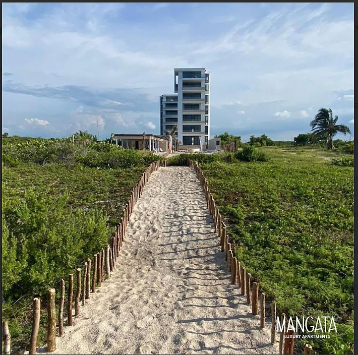 12 de 12: Desarrollo