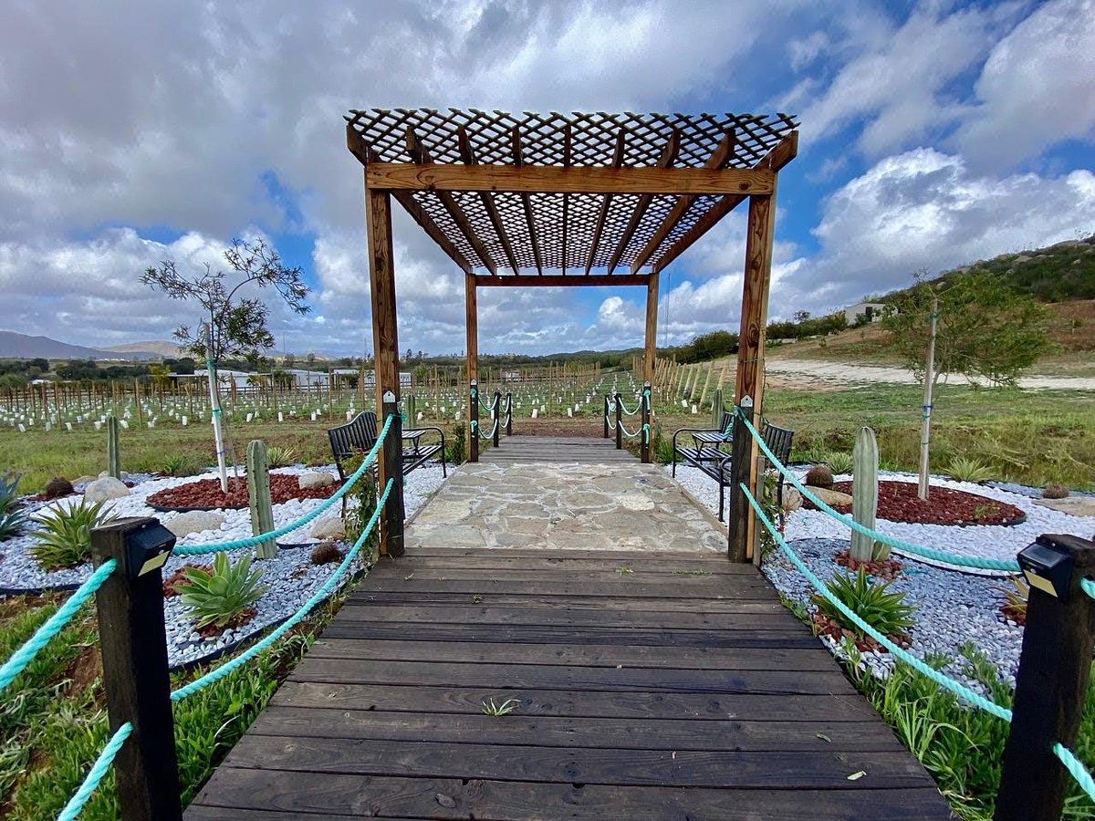 Rancho en Valle de Guadalupe, Ensenada, foto 4 de 34