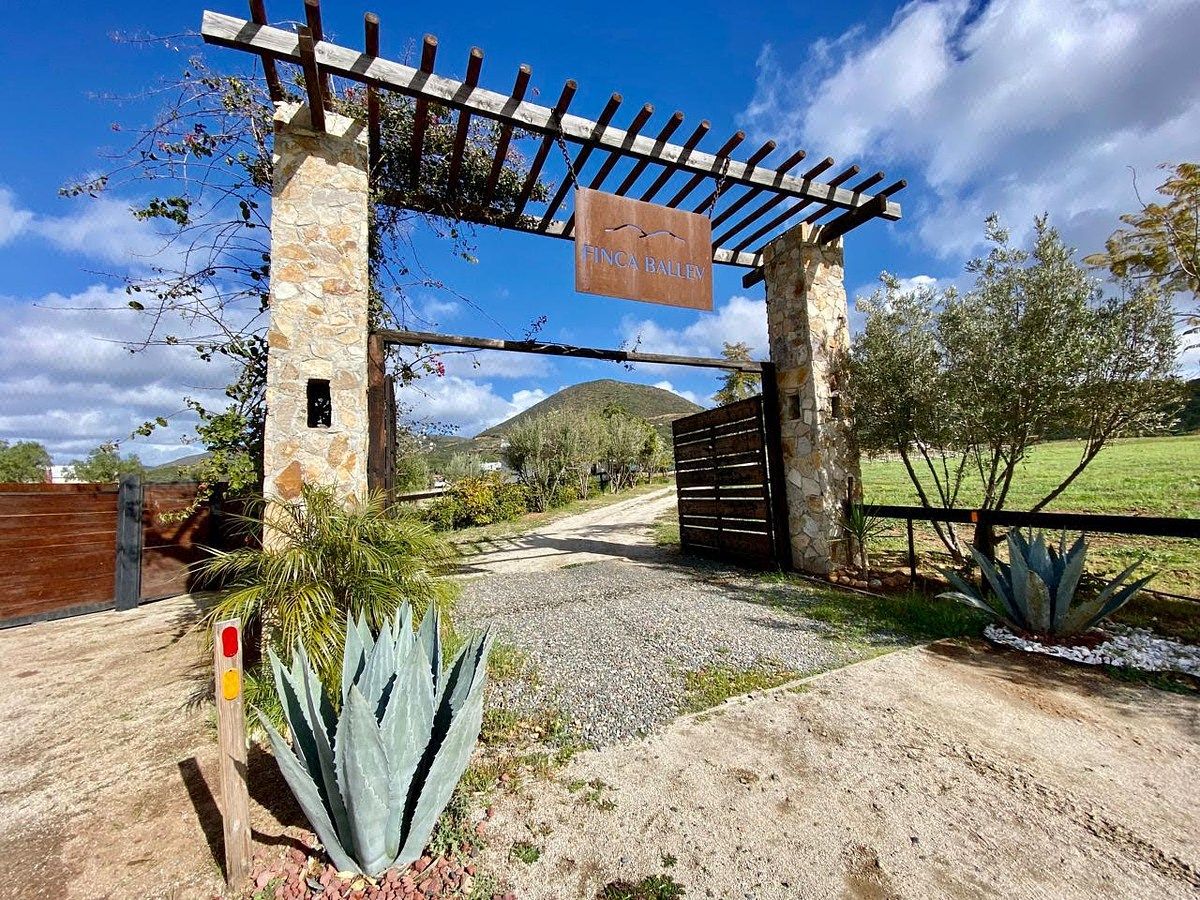 Rancho en Valle de Guadalupe, Ensenada, foto 3 de 34