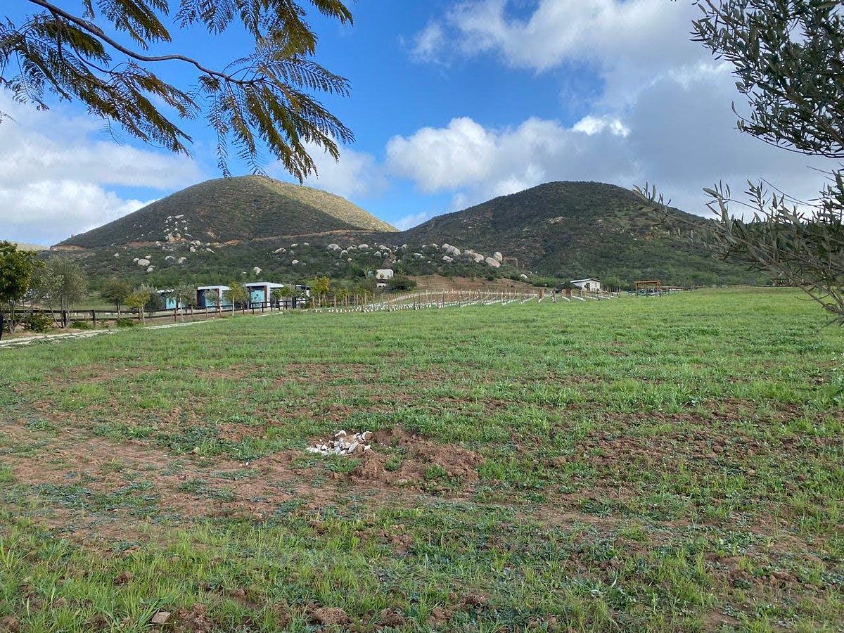 Rancho en Valle de Guadalupe, Ensenada, foto 8 de 34