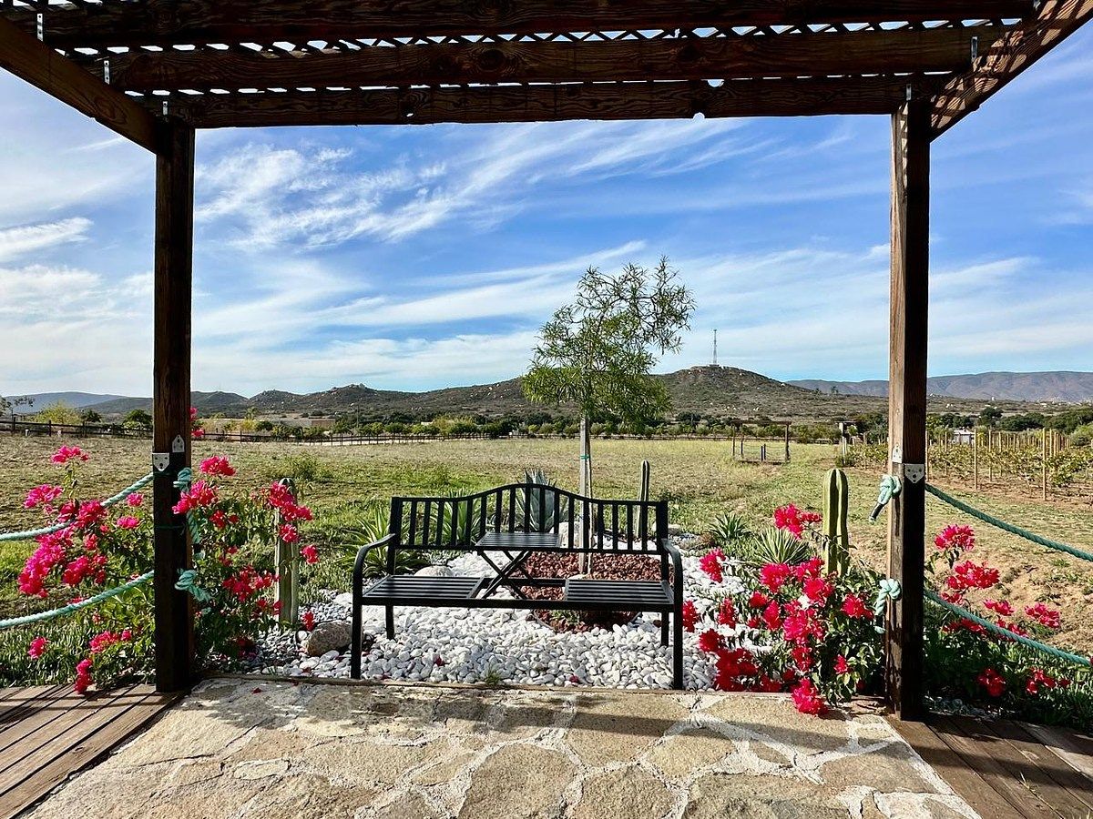 Rancho en Valle de Guadalupe, Ensenada, foto 9 de 34