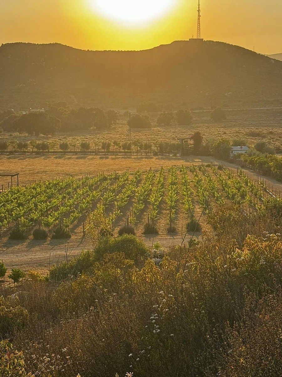 Rancho en Valle de Guadalupe, Ensenada, foto 11 de 34