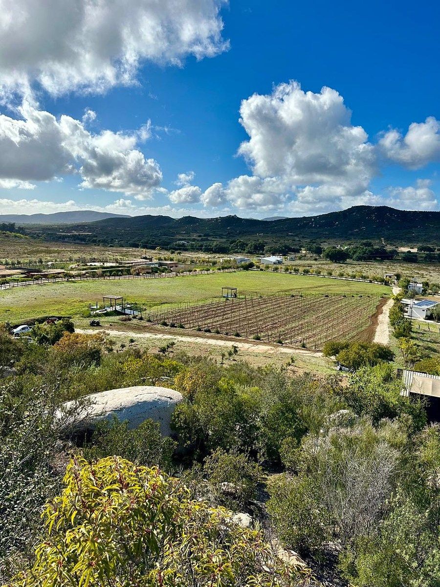 Rancho en Valle de Guadalupe, Ensenada, foto 12 de 34