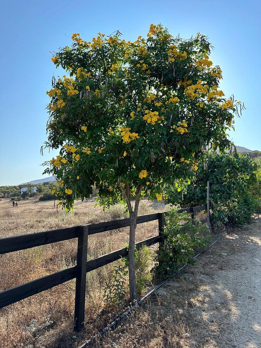 Rancho en Valle de Guadalupe, Ensenada, foto 15 de 34