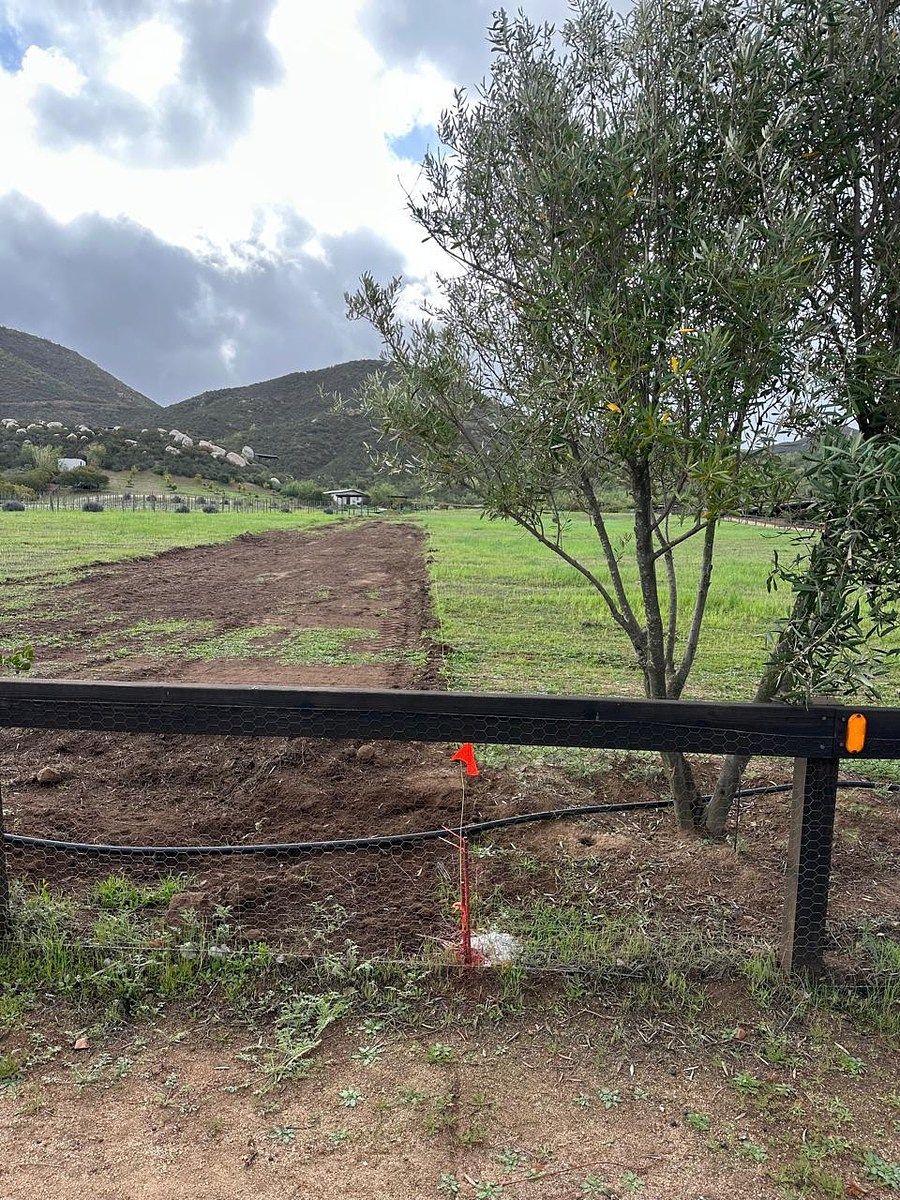 Rancho en Valle de Guadalupe, Ensenada, foto 21 de 34