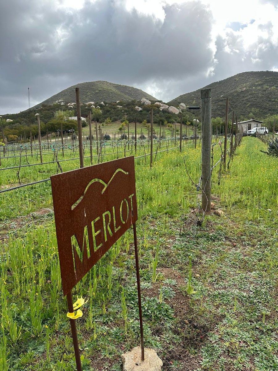 Rancho en Valle de Guadalupe, Ensenada, foto 22 de 34