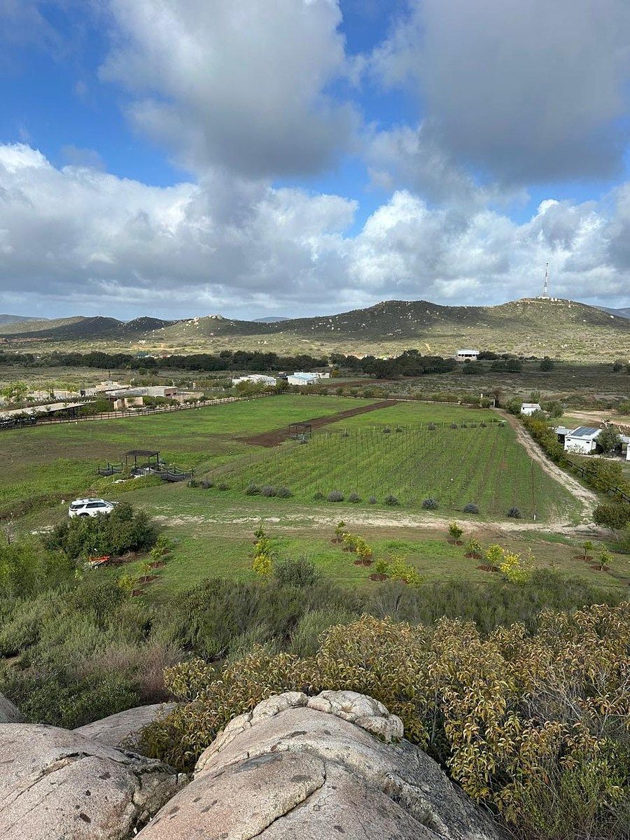 Rancho en Valle de Guadalupe, Ensenada, foto 25 de 34