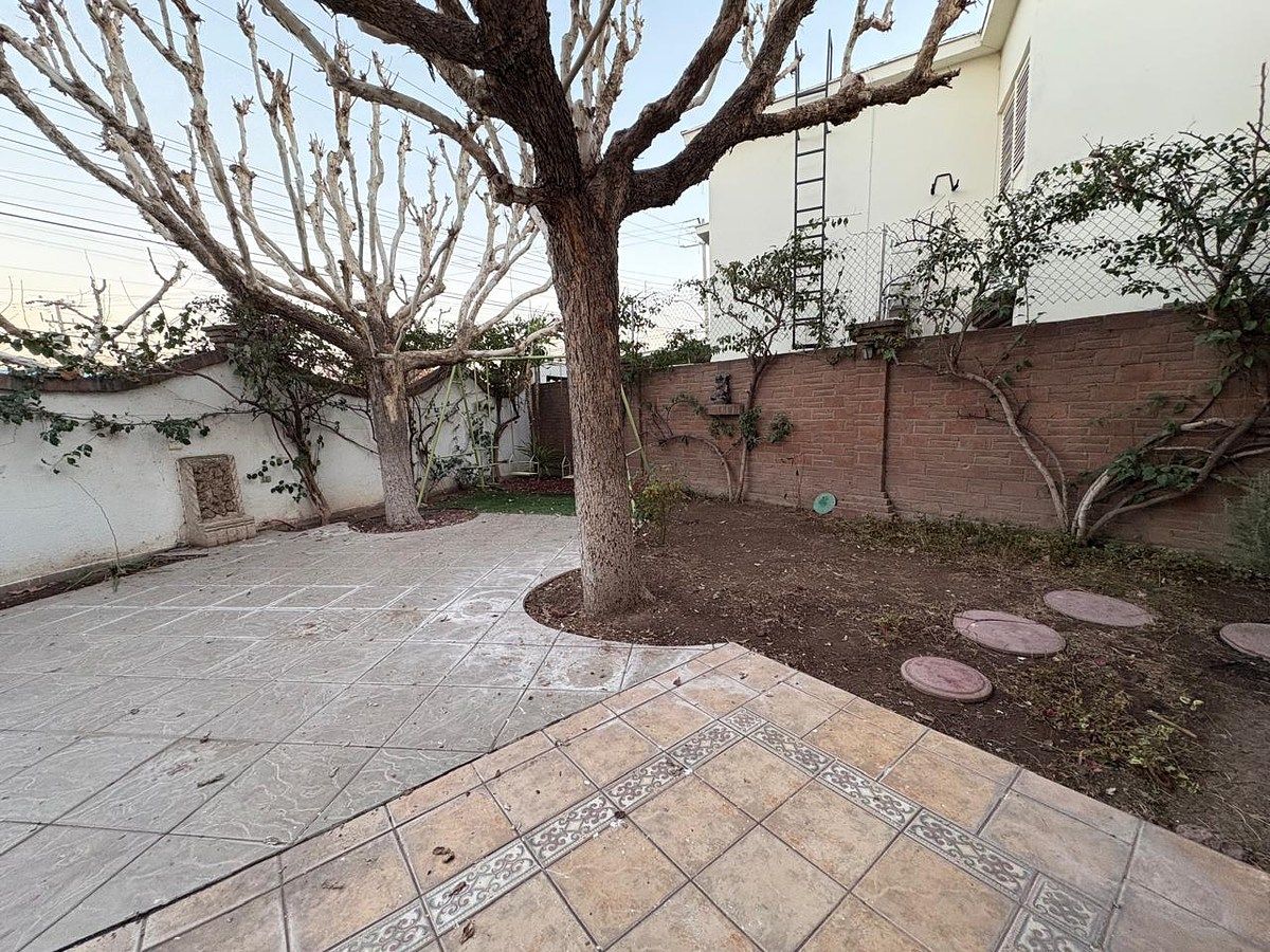 21 de 23: Jardín nivel 1