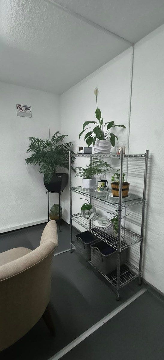 Sala Comercial em Álamos, Benito Juárez, foto 9 de 16