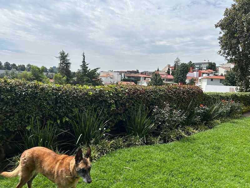 Casa em Bosques de las Lomas, Cuajimalpa de Morelos, foto 21 de 48