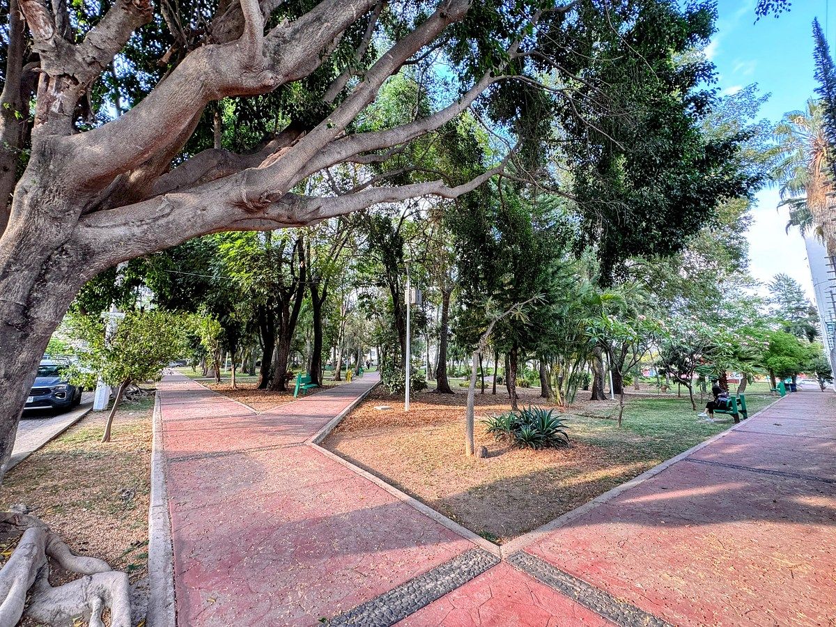 Terreno en Altamira, Zapopan, foto 9 de 9